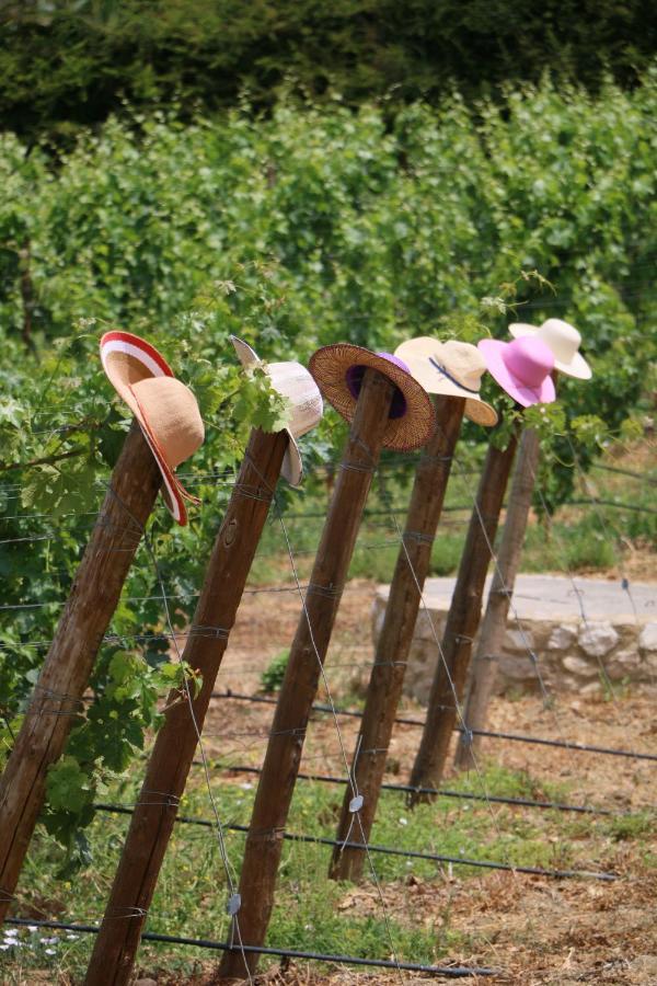 הוילה Quinta Da Chapeleira Em אזייתאו מראה חיצוני תמונה